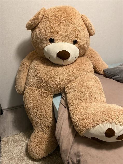 fendi bär xxl|Fendi Teddy Bär XXL in Nordrhein.